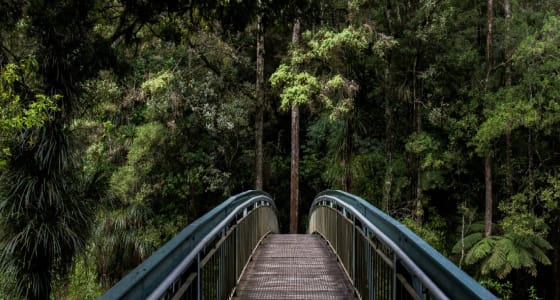 who-we-are who we are